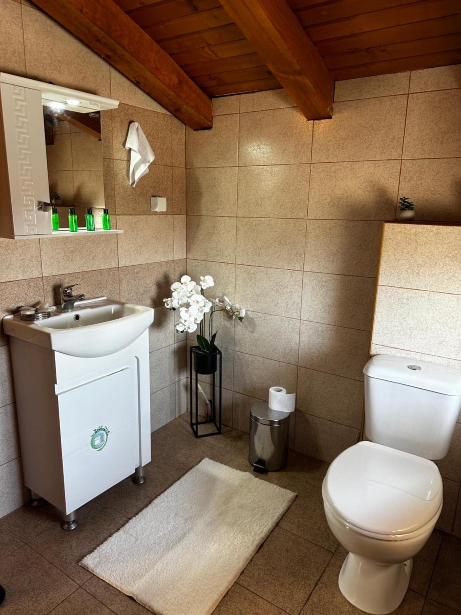 Snow House Otel Bansko Dış mekan fotoğraf